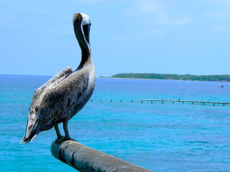 Kolumbien Reiseangebote am Meer